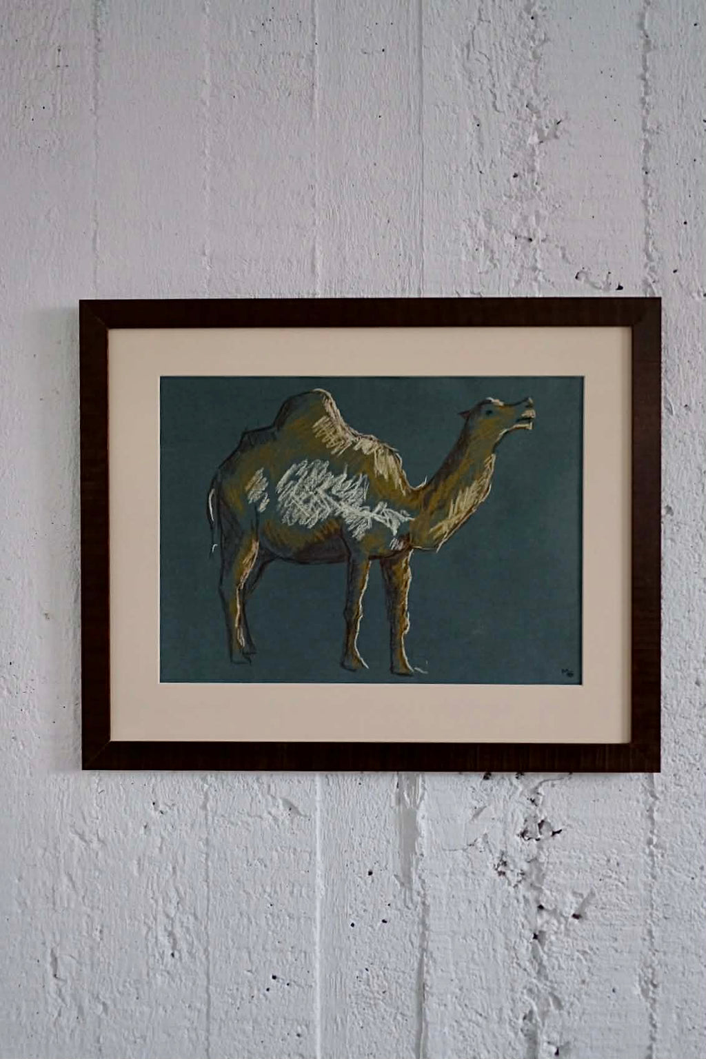 Dromedary, framed original charocal drawing