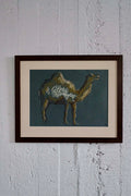 Dromedary, framed original charocal drawing
