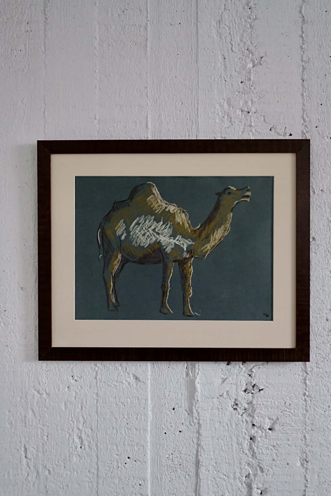 Dromedary, framed original charocal drawing