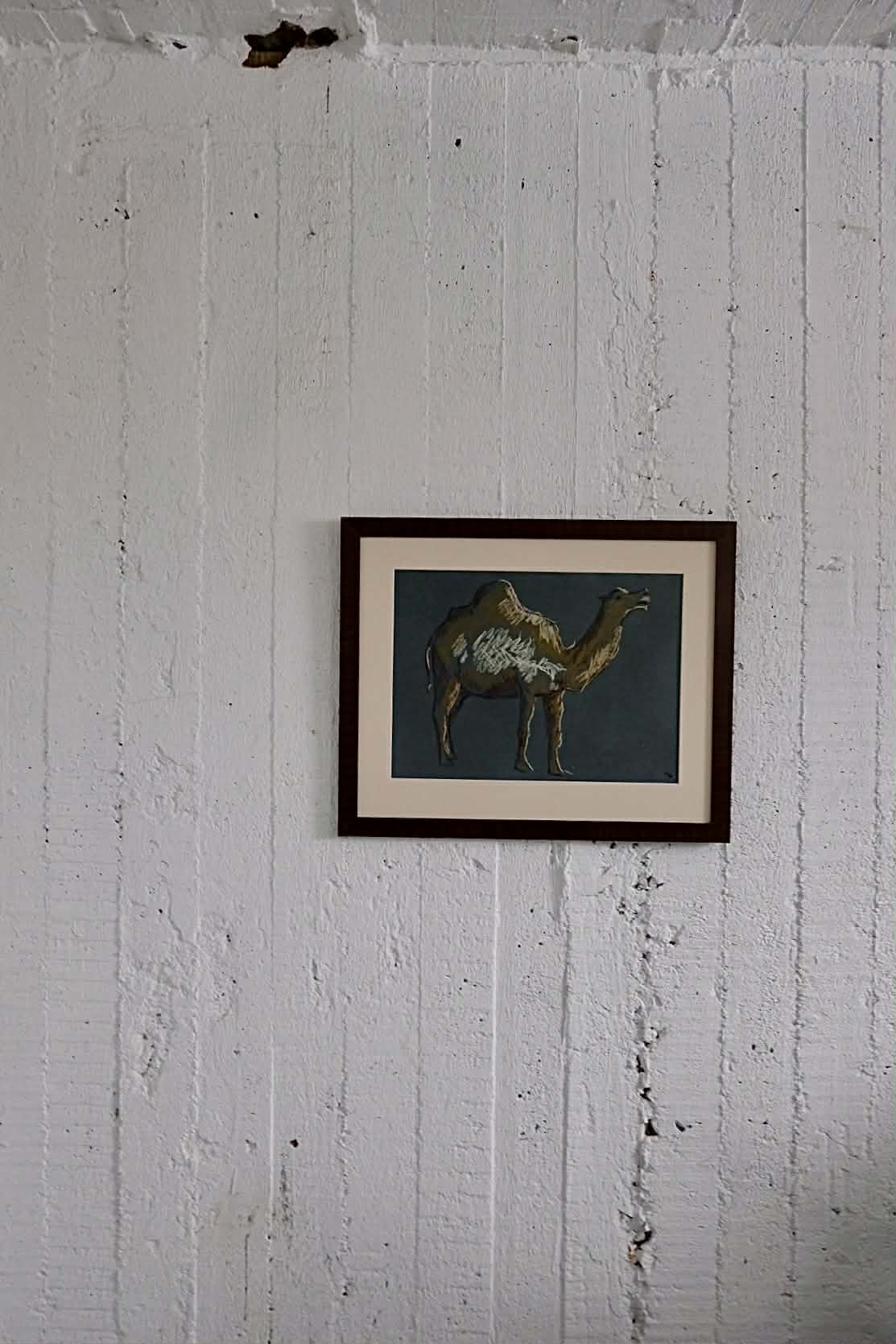 Dromedary, framed original charocal drawing