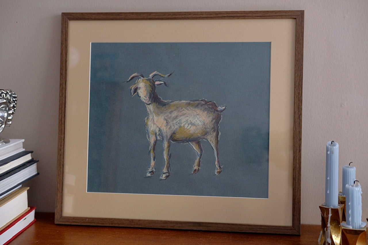 Goat, framed original charocal drawing