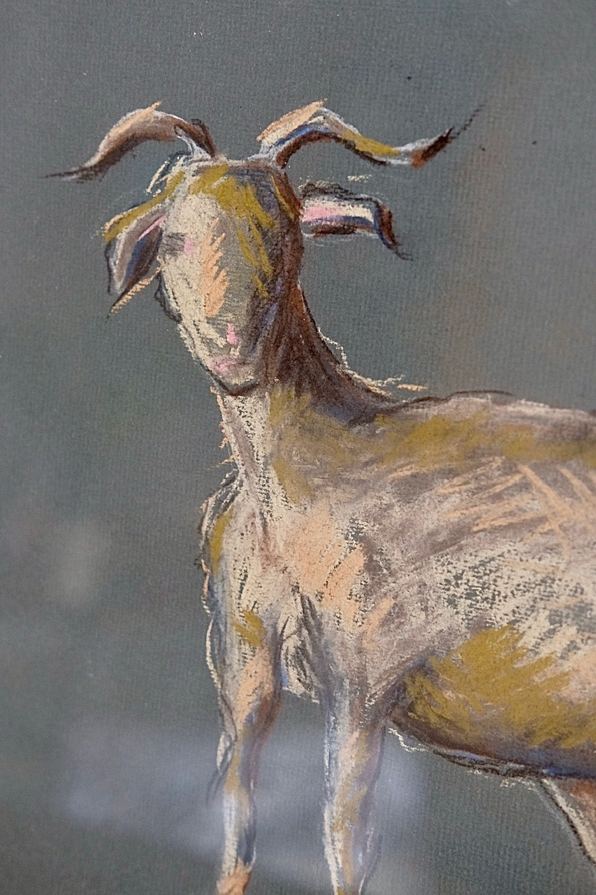 Goat, framed original charocal drawing