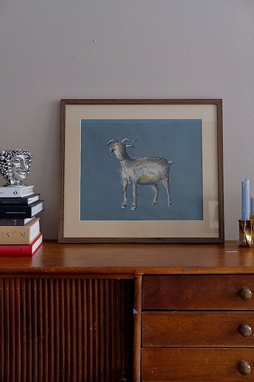 Goat, framed original charocal drawing