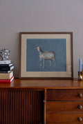 Goat, framed original charocal drawing