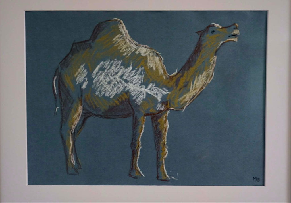 Dromedary, framed original charocal drawing