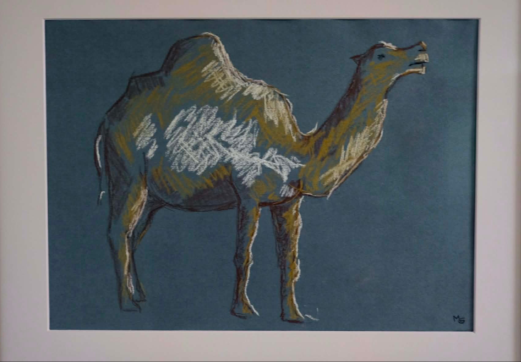 Dromedary, framed original charocal drawing