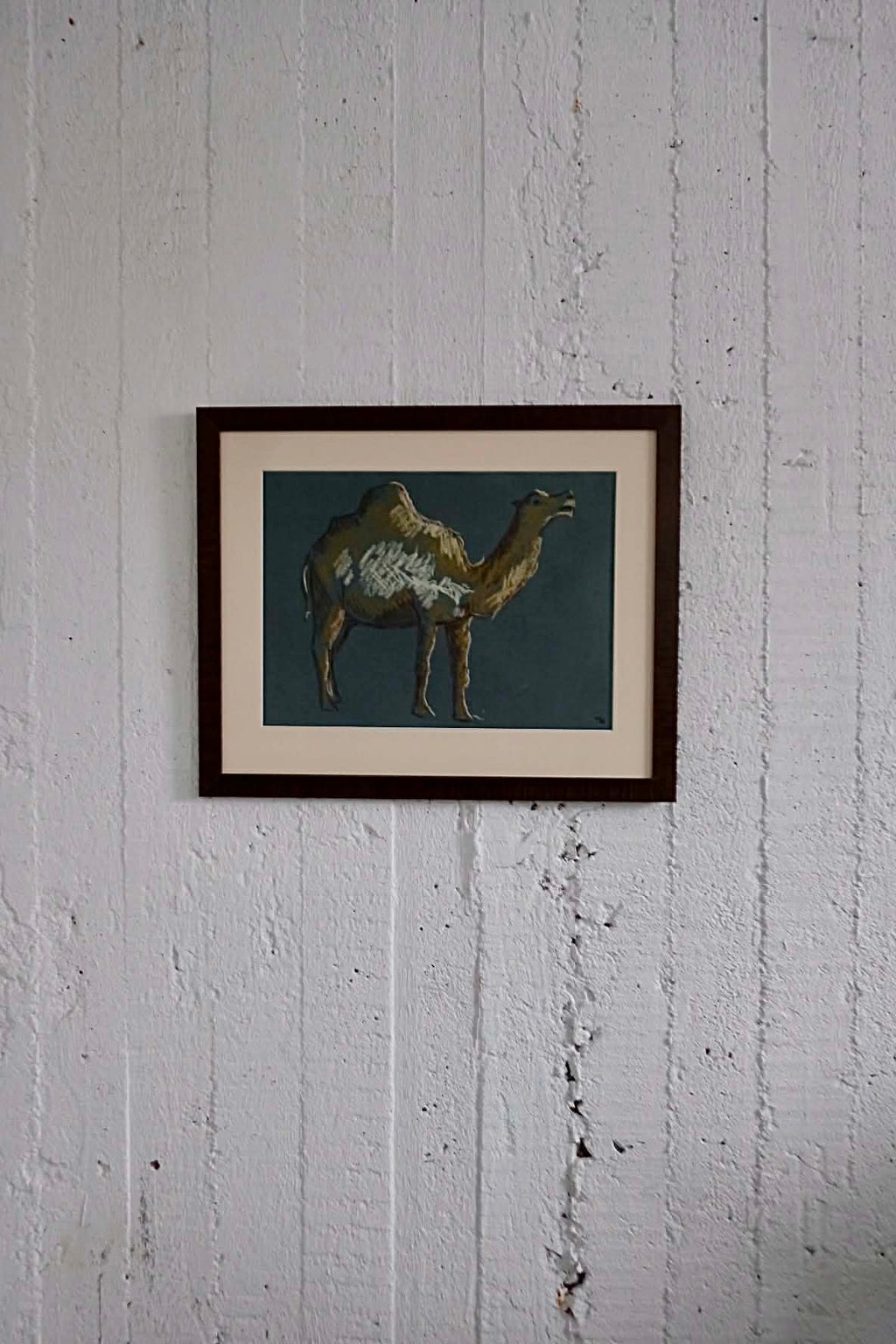 Dromedary, framed original charocal drawing