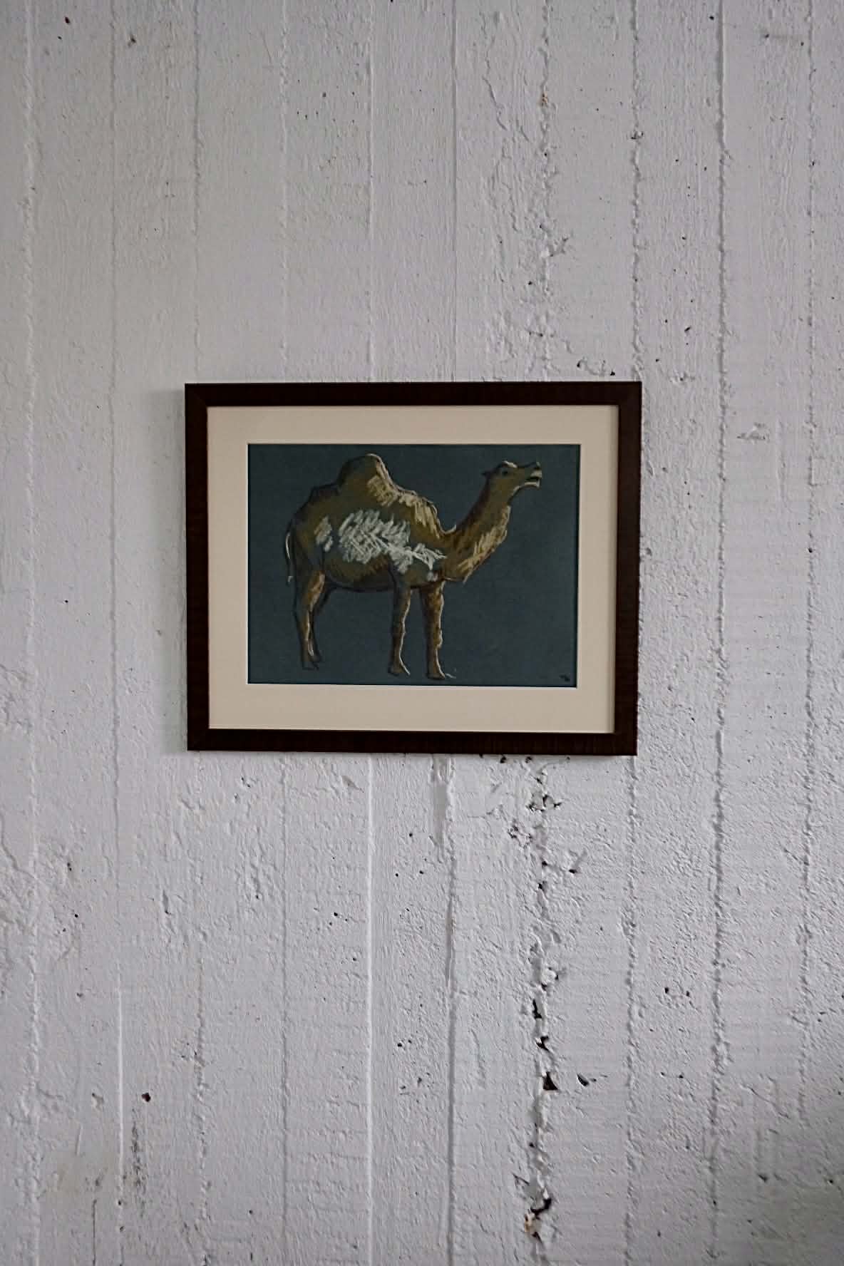 Dromedary, framed original charocal drawing